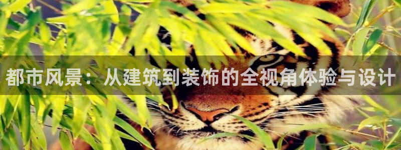 应县盈顺休闲娱乐室电话：都市风景：从建筑到装饰的全视角体验与