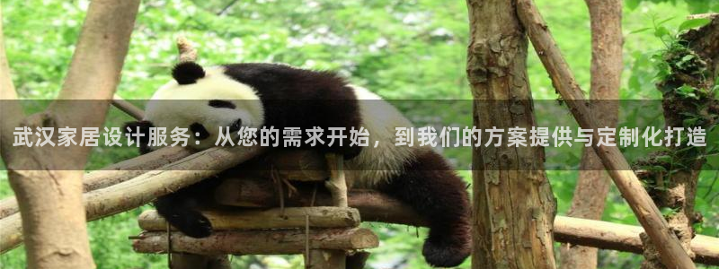 顺盈娱乐过拔7276O：武汉家居设计服务：从您的需求开始，到