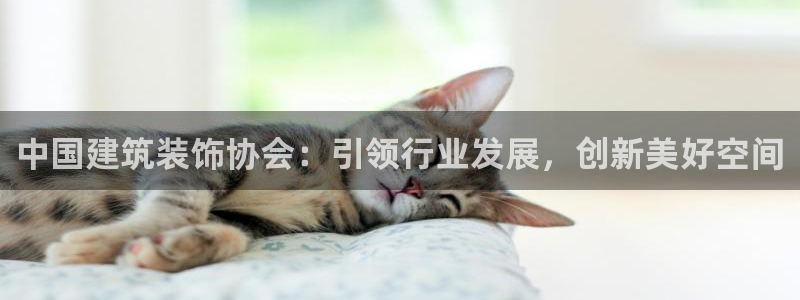 顺盈娱乐2