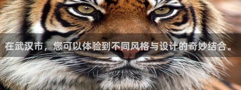 盈顺棋牌娱乐室电话号码