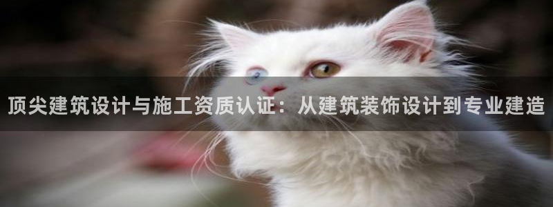 盈顺休闲娱乐室团购价格