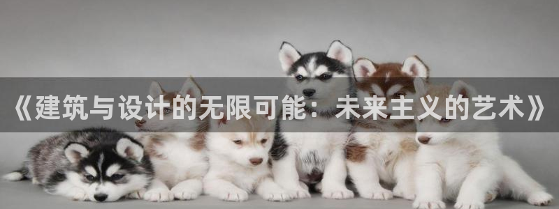 顺盈娱乐官网下载