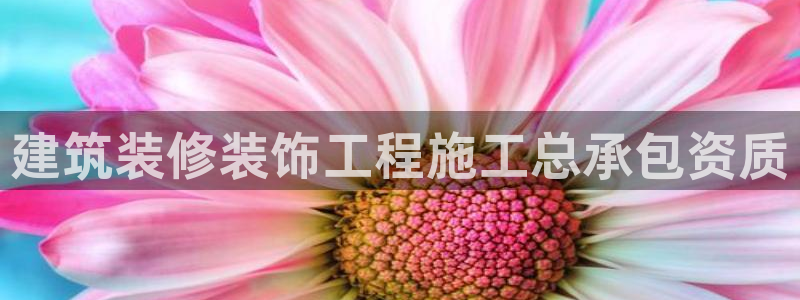 清远顺盈娱乐公司实习
