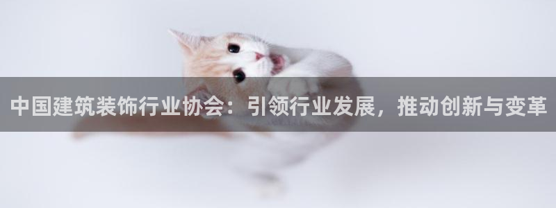 顺盈娱乐行求威判官333OO