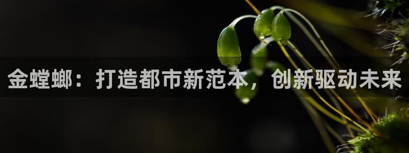 顺盈娱乐在线教育