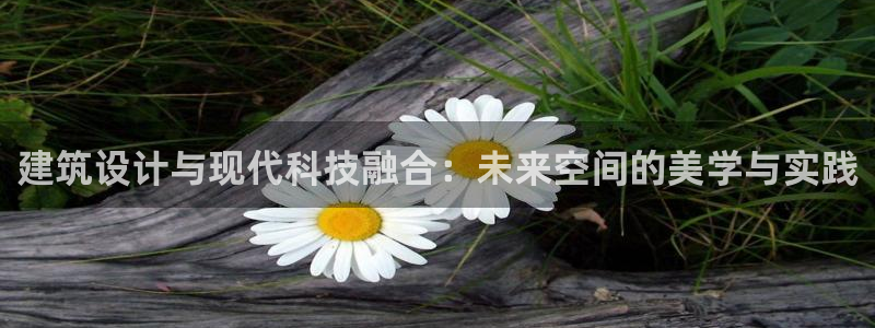 顺盈娱乐主管是谁