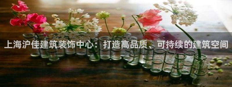 顺盈娱乐代理