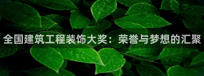 顺盈娱乐28是什么?