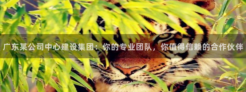 顺盈娱乐滴qv382223