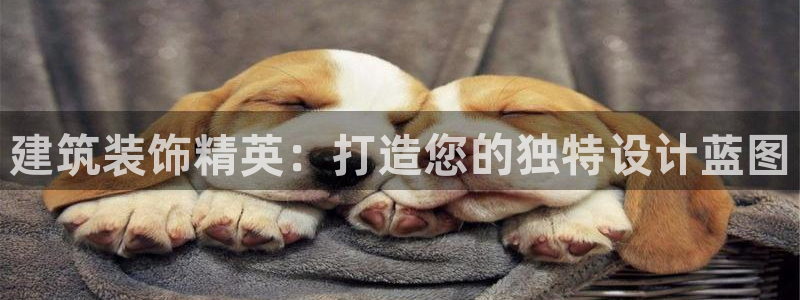 乐摇摇娱乐团购顺盈