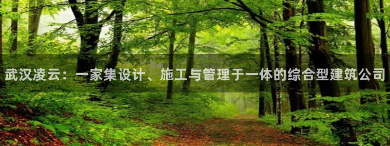 顺盈娱乐下载安装官方