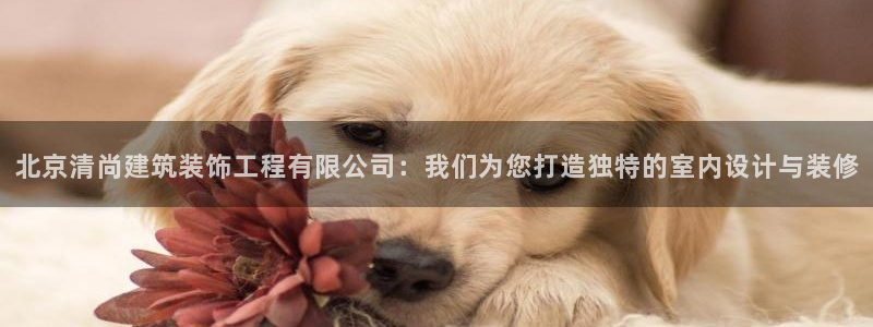 顺盈娱乐平台