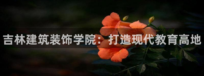 顺盈娱乐平台会黑人吗
