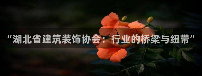 顺盈娱乐代理怎么样