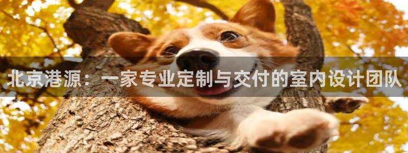 顺盈娱乐直究7276O