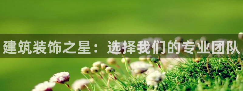 顺盈娱乐28是什么?