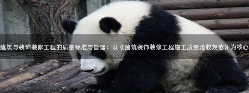 清远顺盈娱乐文案