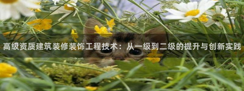 顺盈娱乐注册楚判官333OO