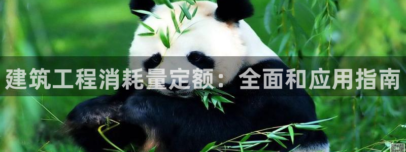 顺盈娱乐主管欲新判官333OO