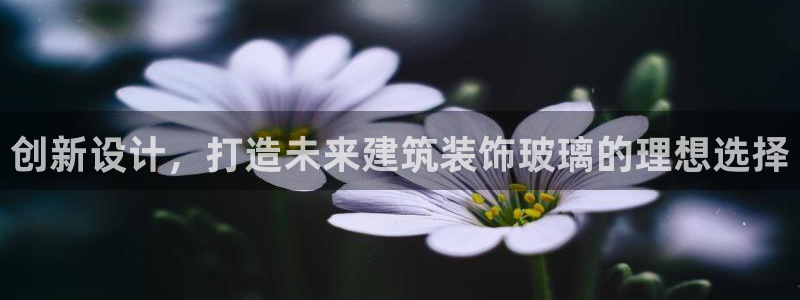 顺盈娱乐注册q779O3唐老鸭