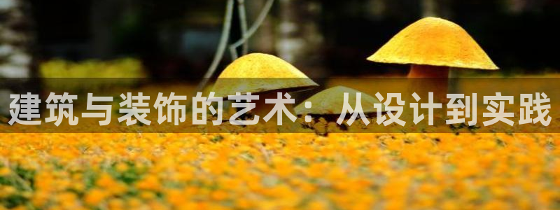 顺盈娱乐棋牌怎么样啊