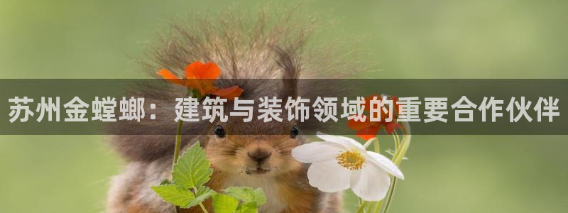 顺盈娱乐团购怎么样