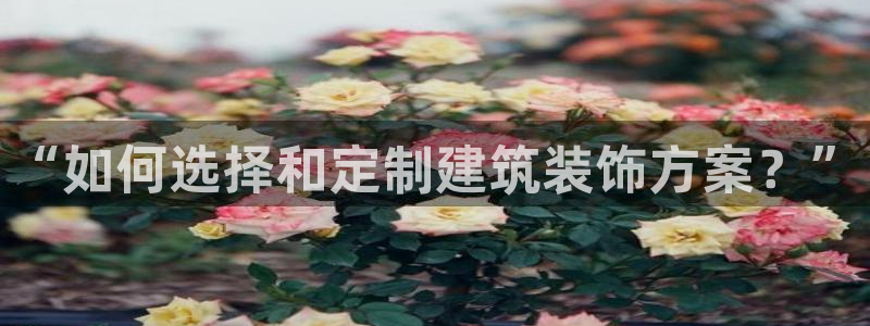 顺盈平台娱乐怎么样