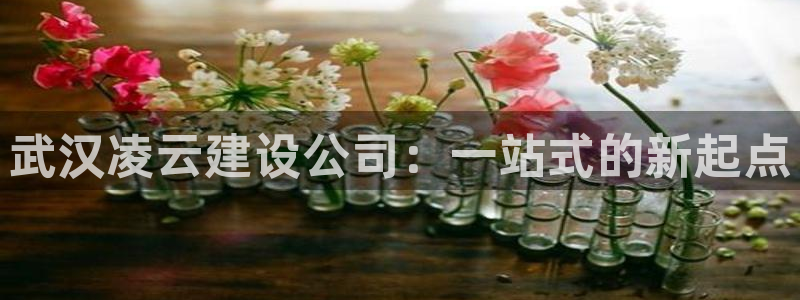 清远顺盈娱乐集团面试