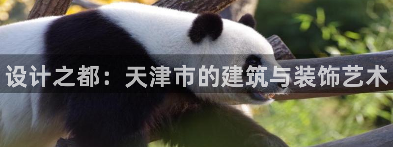 顺盈娱乐注册助判官333OO