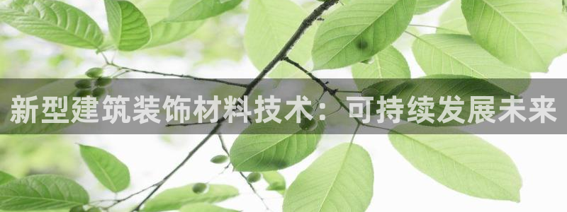 顺盈娱乐官网登录