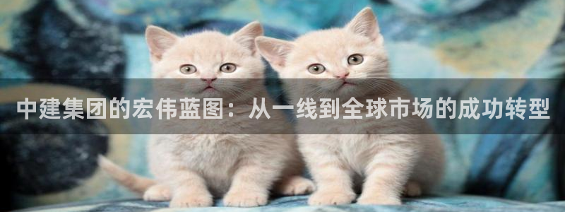 顺盈娱乐注册登录平台