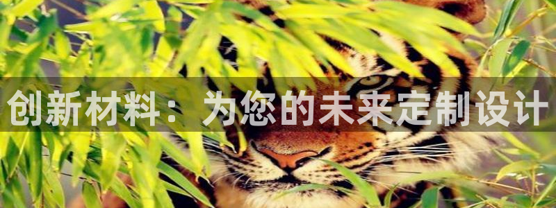 顺盈娱乐主管去判官333OO