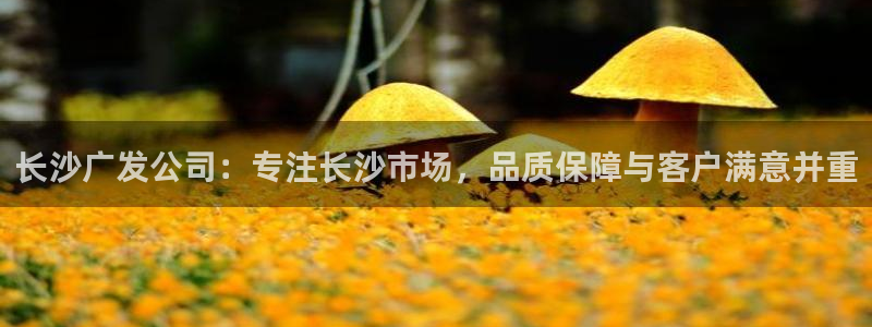 顺盈娱乐铜333OO