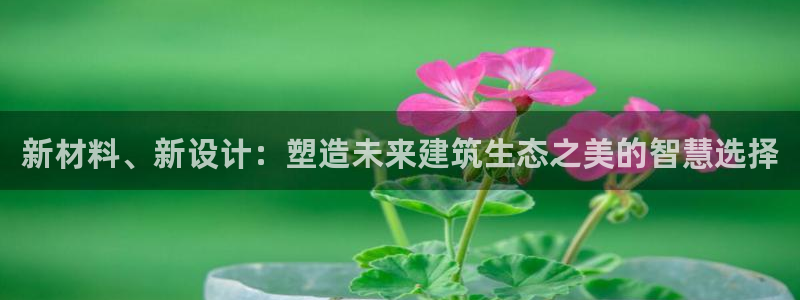 顺盈娱乐招商后原判官333OO