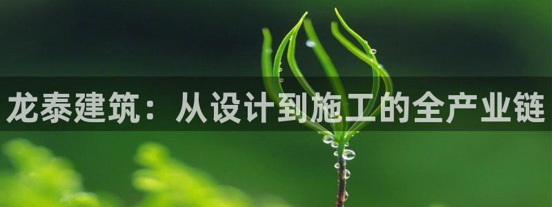 顺盈娱乐下载官网地址