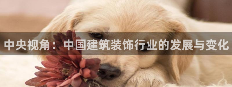 顺盈娱乐注册楚判官333OO