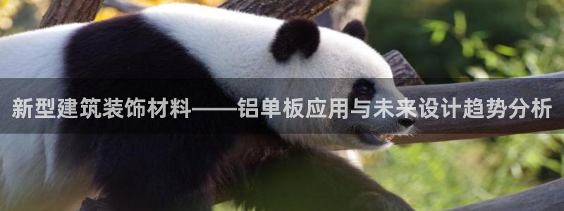 顺盈娱乐游戏开发商