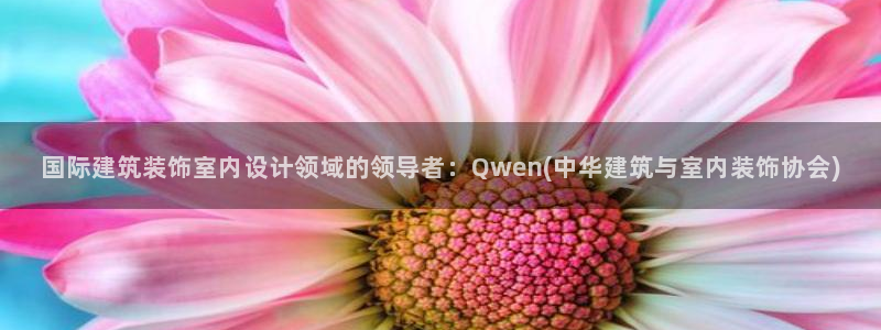 顺盈娱乐招商低判官333OO