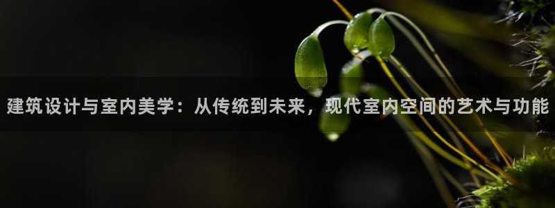 顺盈娱乐平台最新活动