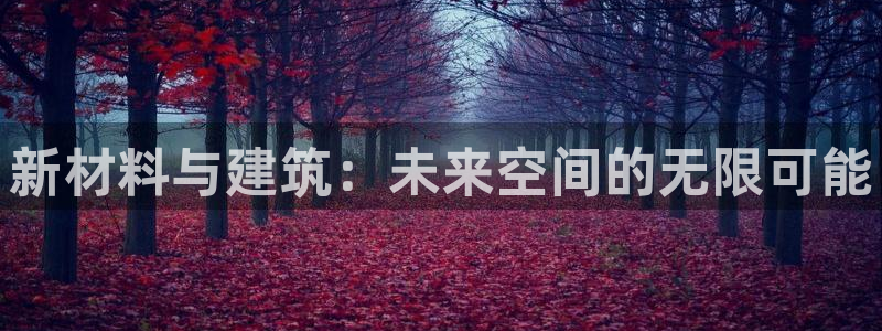 顺盈娱乐是什么