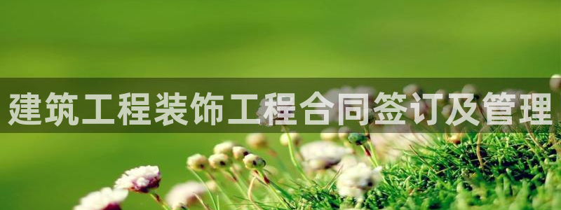 顺盈娱乐姜333OO