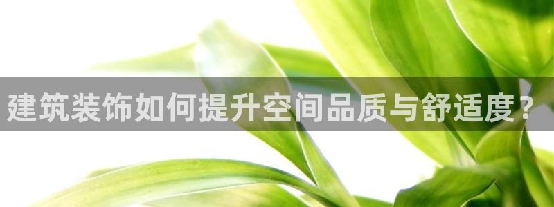 顺盈娱乐痛333OO