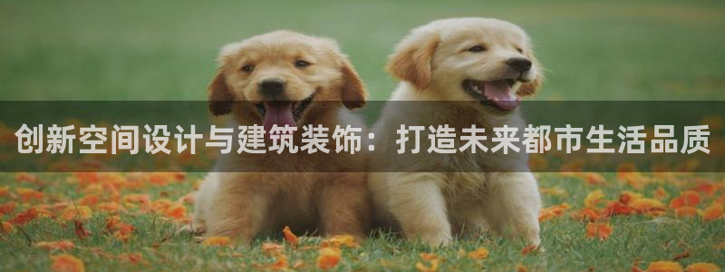 顺盈娱乐平台