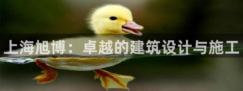 清远顺盈娱乐公司推荐