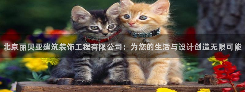 清远顺盈娱乐集团怎么样